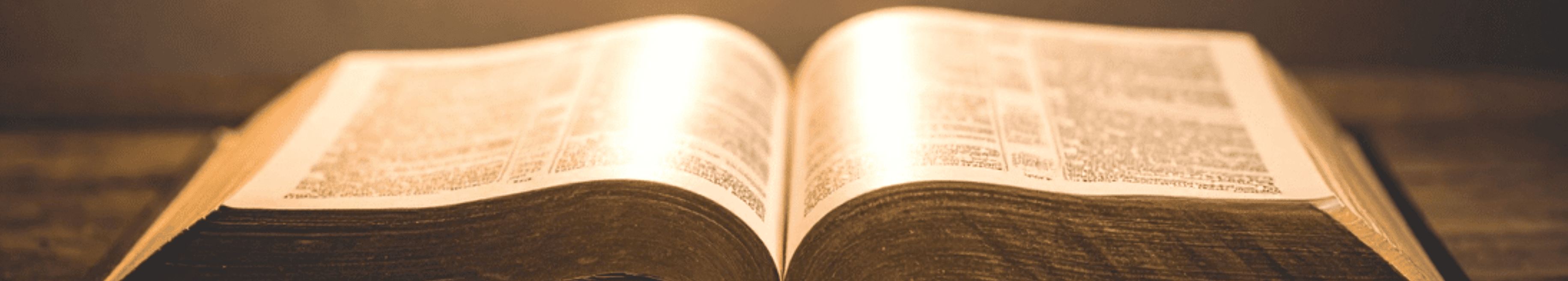 An open Bible, lit from above
